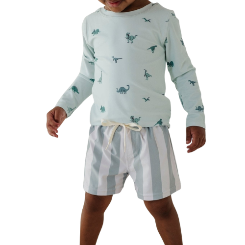Kids Long Sleeve Dinosaur Print Top